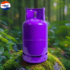 Bình Gas Vietnhatgas 12kg