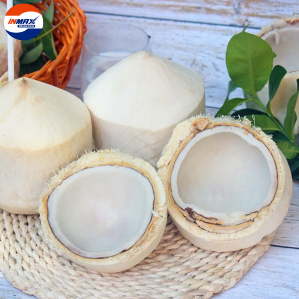 Dười tươi xuất khẩu