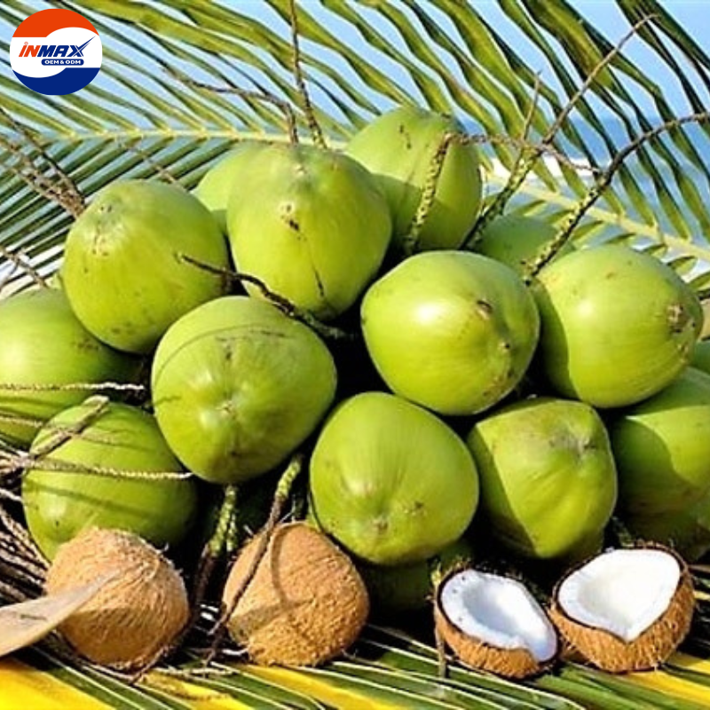 Dười tươi xuất khẩu